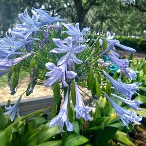 Meet your Posher, Robyn